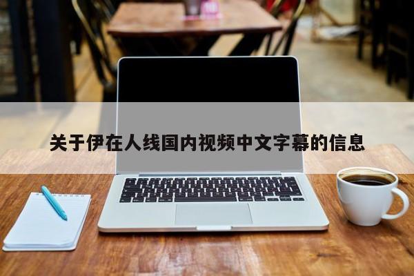 关于伊在人线国内视频中文字幕的信息