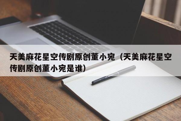 天美麻花星空传剧原创董小宛(天美麻花星空传剧原创董小宛是谁)
